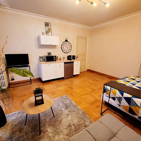 Superbe Appartement Calme Et Spacieux Graulhet エクステリア 写真