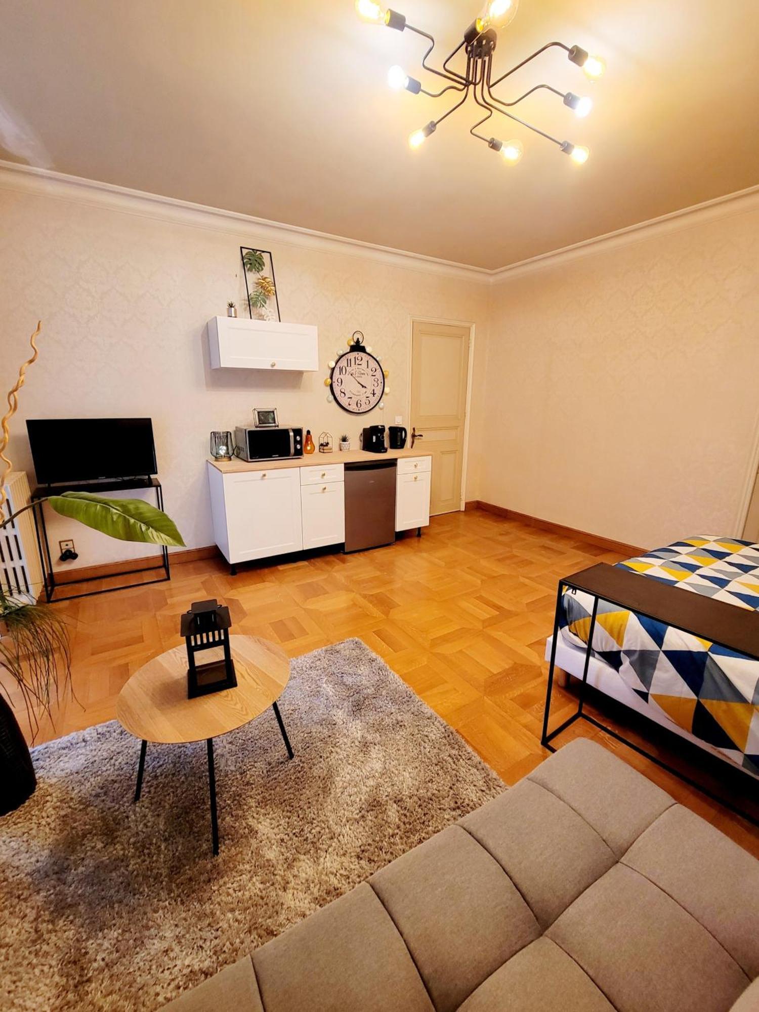 Superbe Appartement Calme Et Spacieux Graulhet エクステリア 写真